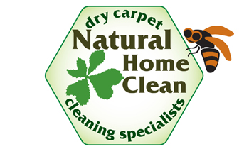 Natural Home Clean logo